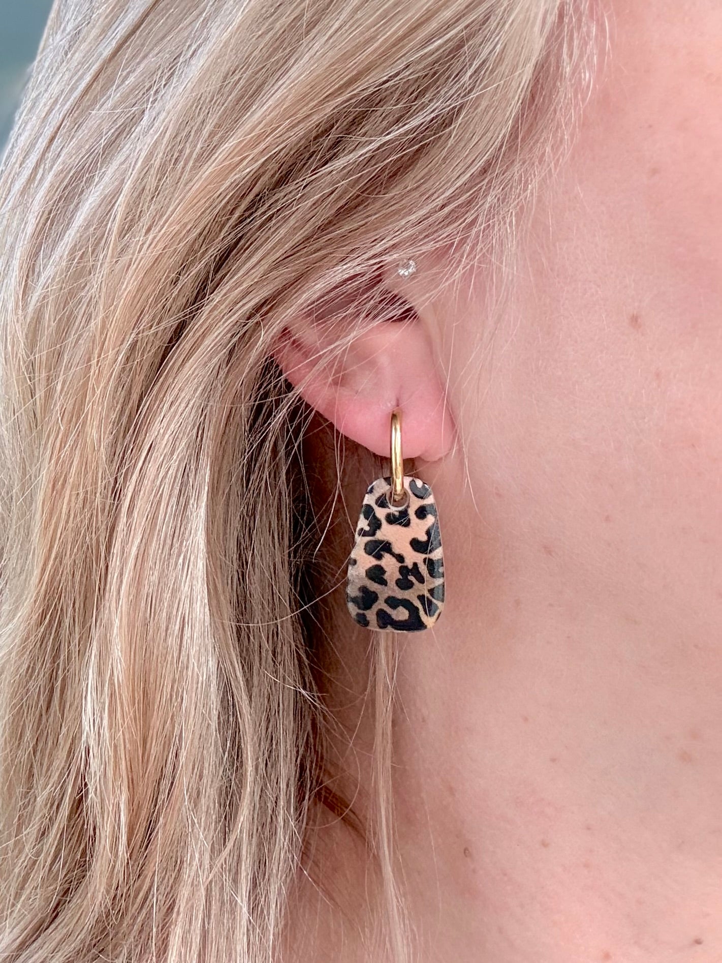 Cheetah ⎮ Eri malleja