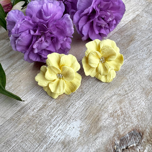 Kuiske -nappikorvakorut